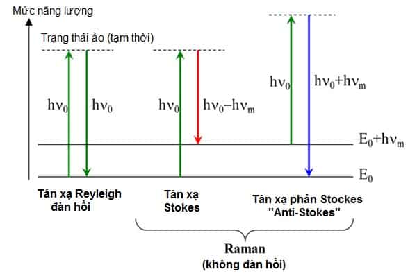 Quang phổ Ranman